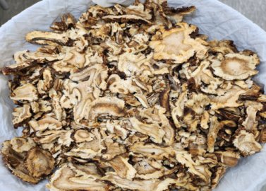쪄 낸 당귀를 식혀 건조기에 넣고 75℃에서 수분이 완전히 마를 때까지 말린다.