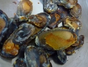 수분을 날리고 겉에 눌어붙은 우유를 떼기 쉽게 햇볕에 말린다.