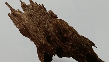 충루 침향