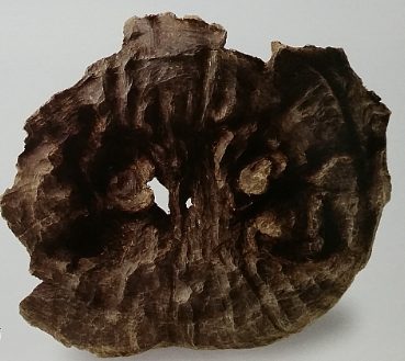 생결 침향