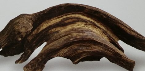 숙결 침향